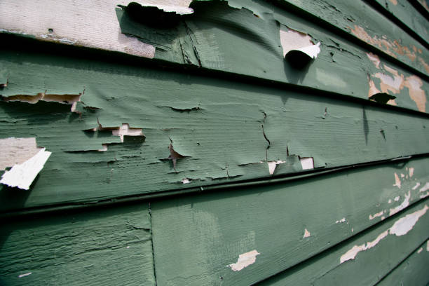 Best Yard Waste Removal  in Madras, OR