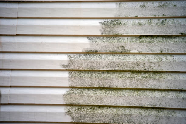 Best Hoarding Cleanup  in Madras, OR